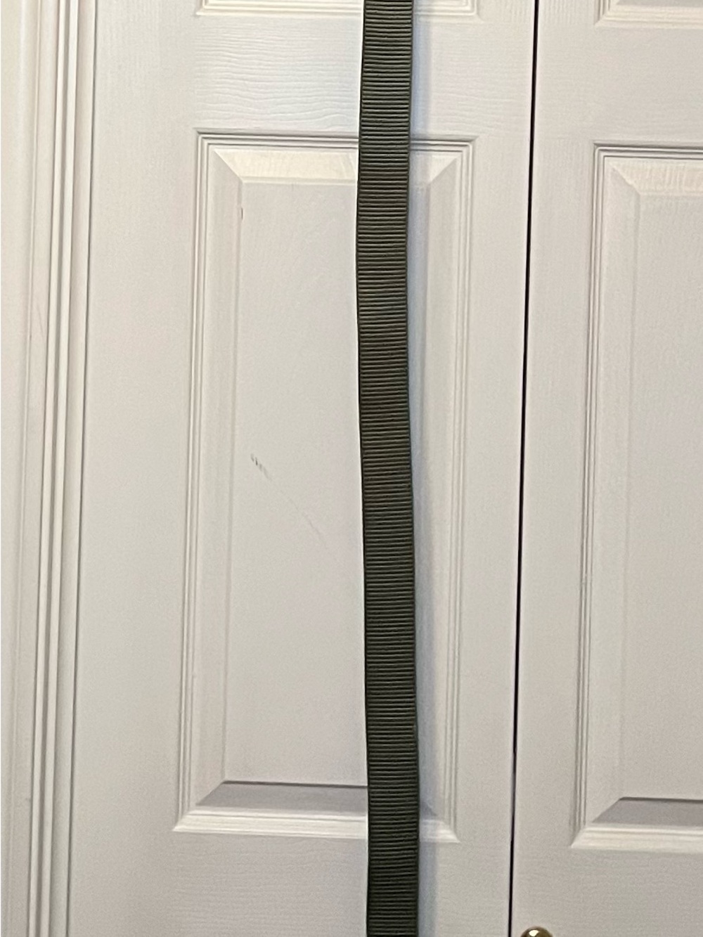Propper Web Belt in Olive Green